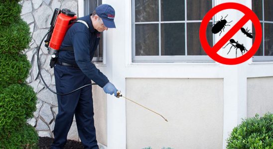 Pozantı Böcek ve Haşere İlaçlama böcek ilaçlama ve haşere kontrolü — ilaclama-tr.com